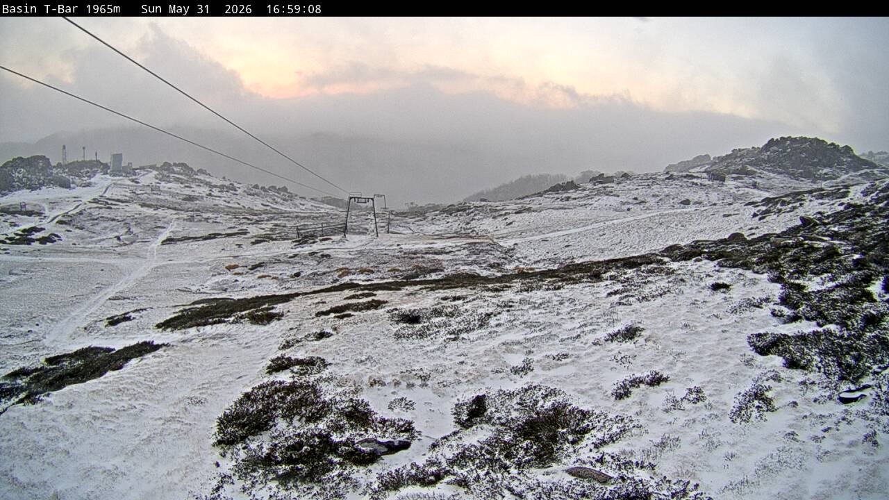 Basin T-Bar